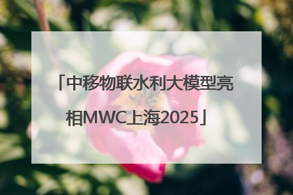 中移物联水利大模型亮相MWC上海2025