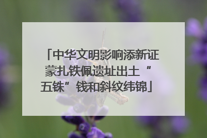 中华文明影响添新证 蒙扎铁佩遗址出土“五铢”钱和斜纹纬锦