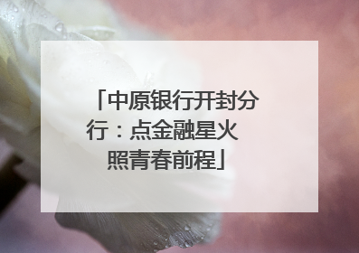 中原银行开封分行：点金融星火 照青春前程