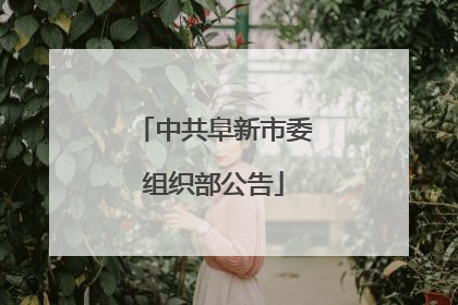 中共阜新市委组织部公告