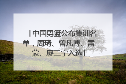 中国男篮公布集训名单，周琦、曾凡博、雷蒙、廖三宁入选