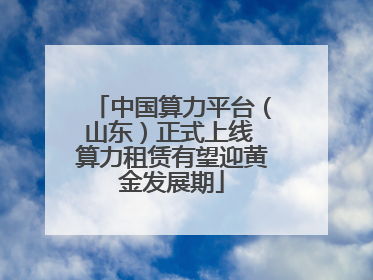 中国算力平台（山东）正式上线 算力租赁有望迎黄金发展期