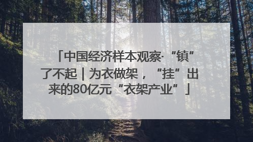 中国经济样本观察·“镇”了不起｜为衣做架，“挂”出来的80亿元“衣架产业”
