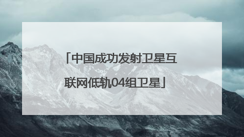中国成功发射卫星互联网低轨04组卫星