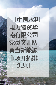 中国水利电力物资华南有限公司党员突击队勇当新能源市场开拓排头兵