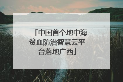中国首个地中海贫血防治智慧云平台落地广西