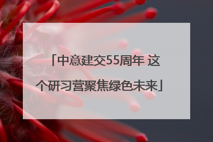 中意建交55周年 这个研习营聚焦绿色未来
