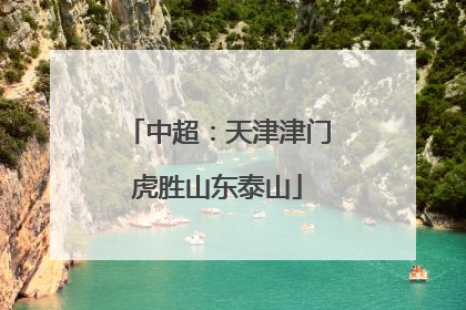 中超：天津津门虎胜山东泰山