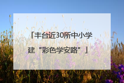 丰台近30所中小学建“彩色学安路”
