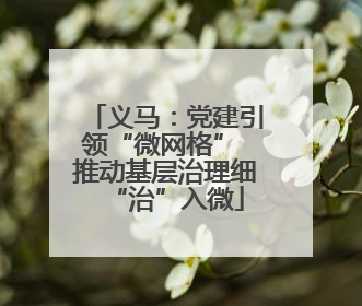 义马：党建引领“微网格” 推动基层治理细“治”入微