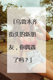 乌鲁木齐街头的新朋友，你偶遇了吗？