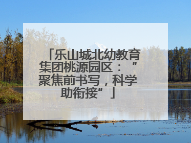 乐山城北幼教育集团桃源园区：“聚焦前书写，科学助衔接”