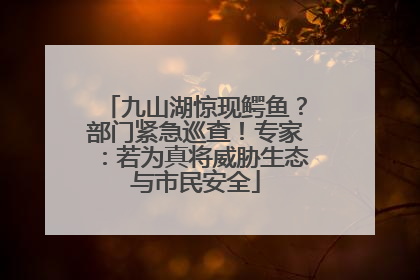 九山湖惊现鳄鱼？部门紧急巡查！专家：若为真将威胁生态与市民安全