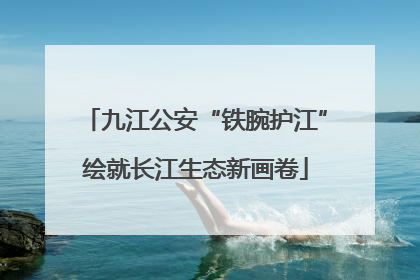 九江公安“铁腕护江”绘就长江生态新画卷