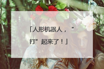 人形机器人，“打”起来了！