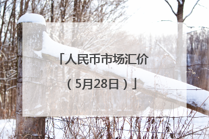 人民币市场汇价（5月28日）