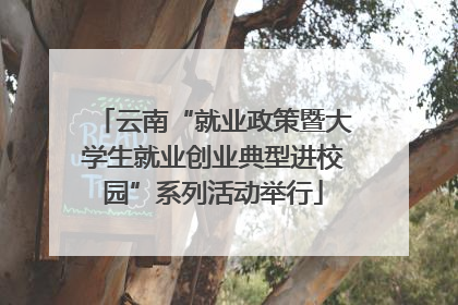 云南“就业政策暨大学生就业创业典型进校园”系列活动举行
