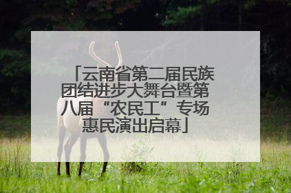 云南省第二届民族团结进步大舞台暨第八届“农民工”专场惠民演出启幕