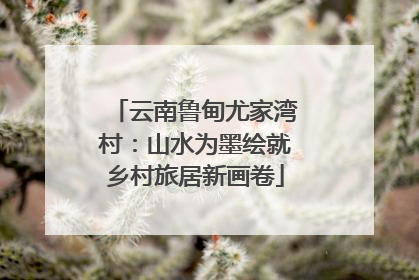 云南鲁甸尤家湾村：山水为墨绘就乡村旅居新画卷