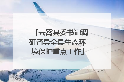 云霄县委书记调研督导全县生态环境保护重点工作