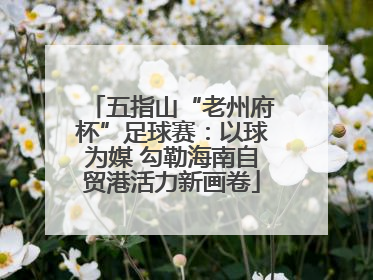 五指山“老州府杯”足球赛：以球为媒 勾勒海南自贸港活力新画卷