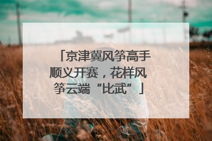 京津冀风筝高手顺义开赛，花样风筝云端“比武”