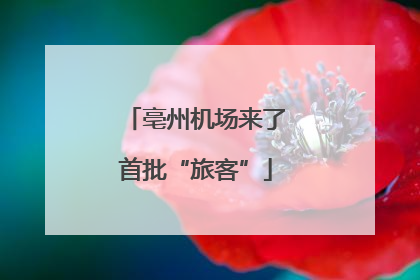 亳州机场来了首批“旅客”