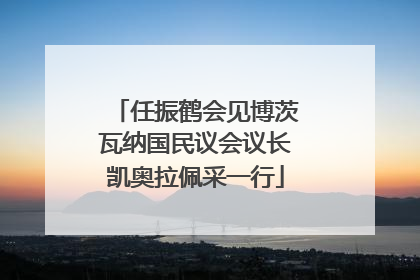 任振鹤会见博茨瓦纳国民议会议长凯奥拉佩采一行