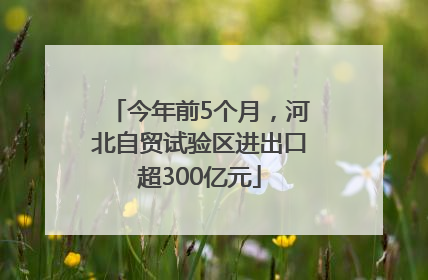 今年前5个月，河北自贸试验区进出口超300亿元