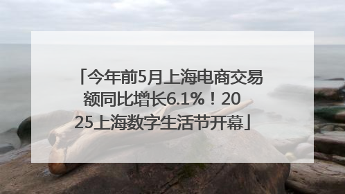 今年前5月上海电商交易额同比增长6.1%！2025上海数字生活节开幕