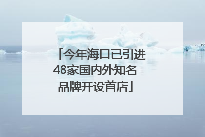 今年海口已引进48家国内外知名品牌开设首店