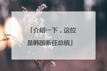 介绍一下，这位是韩国新任总统