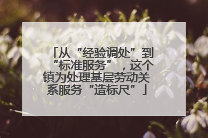 从“经验调处”到“标准服务”，这个镇为处理基层劳动关系服务“造标尺”