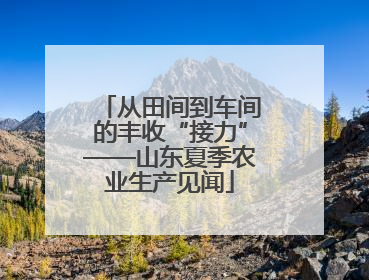 从田间到车间的丰收“接力”——山东夏季农业生产见闻