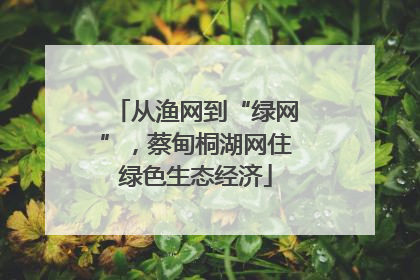 从渔网到“绿网”，蔡甸桐湖网住绿色生态经济