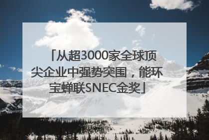 从超3000家全球顶尖企业中强势突围，能环宝蝉联SNEC金奖