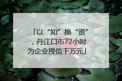以“知”换“资”，丹江口市72小时为企业授信千万元