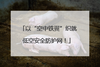 以“空中铁翼”织就低空安全防护网！