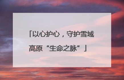 以心护心，守护雪域高原“生命之脉”
