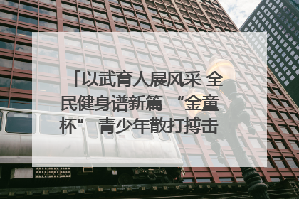 以武育人展风采 全民健身谱新篇 “金童杯” 青少年散打搏击邀请赛圆满落幕