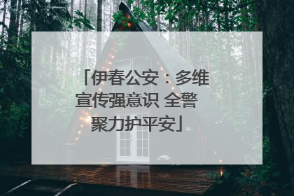 伊春公安：多维宣传强意识 全警聚力护平安