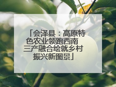 会泽县：高原特色农业领跑西南 三产融合绘就乡村振兴新图景