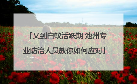 又到白蚁活跃期 池州专业防治人员教你如何应对
