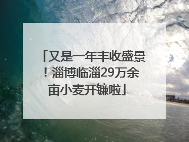 又是一年丰收盛景！淄博临淄29万余亩小麦开镰啦