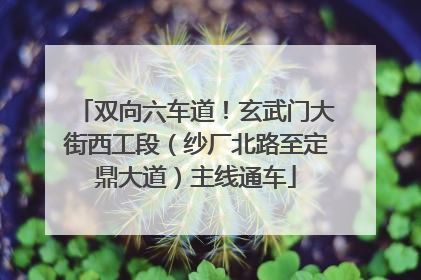 双向六车道！玄武门大街西工段（纱厂北路至定鼎大道）主线通车