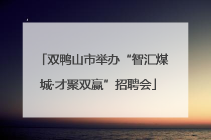 双鸭山市举办“智汇煤城·才聚双赢”招聘会