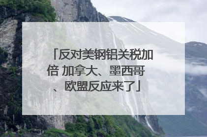 反对美钢铝关税加倍 加拿大、墨西哥、欧盟反应来了