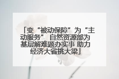 变“被动保障”为“主动服务” 自然资源部为基层解难题办实事 助力经济大省挑大梁