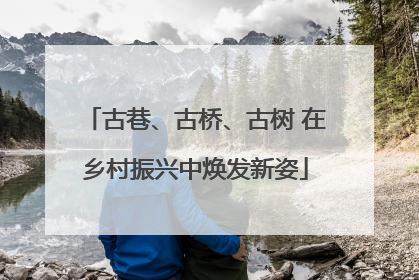 古巷、古桥、古树 在乡村振兴中焕发新姿