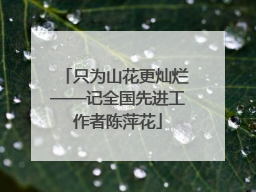 只为山花更灿烂——记全国先进工作者陈萍花